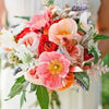 Heirloom Mix Shirley Poppy Seeds