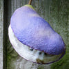 100 - 1000 Bulk CHOCOLATE VINE Edible Fruit Akebia Quinata Fragrant Flower Seeds