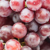 10 Giant RED GLOBE GRAPE Vitis Vinifera Fruit Vine Seeds