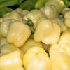 50 WHITE CLOUD BELL PEPPER Sweet Mild Capsicum Annuum Vegetable Seeds
