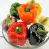 150 RAINBOW BELL PEPPER Sweet Red, Green, Yellow, Orange, Purple, Brown, & White Capsicum Annuum Vegetable Seeds
