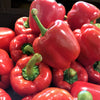 20 Organic Red MINI BELL PEPPER Sweet Mild Miniature Capsicum Annuum Vegetable Seeds