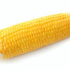 50 KANDY KORN CORN Sweet Yellow Corn Red Husk H.S.E. Zea Mays Vegetable Seeds