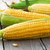 50 SUGAR BUNS CORN Sweet S.E. Yellow Zea Mays Vegetable Seeds
