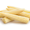 75 Japanese WHITE HULLESS POPCORN or Baby Corn Zea Mays Heirloom Vegetable Seeds
