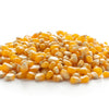 75 SOUTH AMERICAN Yellow POPCORN Corn Zea Mays Heirloom Vegetable Seeds