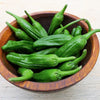 50 SHISHITO PEPPER Green to Red Mild Japanese Chili Capsicum Annuum Vegetable Seeds