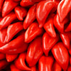100 BIG JIM PEPPER Green to Red Big 12" Chili Mild Heat Capsicum Annuum Vegetable Seeds