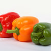 150 RAINBOW BELL PEPPER Sweet Red, Green, Yellow, Orange, Purple, Brown, & White Capsicum Annuum Vegetable Seeds