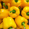 20 Organic Yellow MINI BELL PEPPER Sweet Mild Miniature Capsicum Annuum Vegetable Seeds