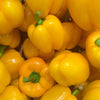20 Organic Yellow MINI BELL PEPPER Sweet Mild Miniature Capsicum Annuum Vegetable Seeds