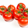 80 Sub ARCTIC PLENTY TOMATO Solanum Lycopersicum Red Determinate Heirloom Fruit Vegetable Seeds