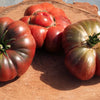 40 PURPLE CALABASH TOMATO Solanum Lycopersicum Indeterminate Heirloom Beefsteak Fruit Vegetable Seeds