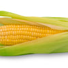50 Yellow JUBILEE CORN Sweet Corn Zea Mays Vegetable Seeds