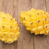 20 YELLOW DRAGON FRUIT ( Pitaya / Pitahaya / Strawberry Pear ) Hylocereus Megalanthus Cactus White Flower Seeds
