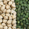 25 GREEN CHICK PEA Chickpea aka Garbanzo Bean Green Chana Cicer Arietinum Legume Vegetable Seeds