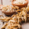 250 Certified ARMOR OAT Oats Avena Sativa Cereal Grain Seeds