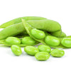 20 Organic MIDORI GIANT SOYBEAN Edamame Glycine Max Green Bean Legume Vegetable Seeds
