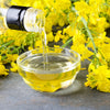1000 ' WICHITA ' Winter CANOLA Brassica Napus Rape Oilseed Cover Crop Seeds