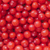 30 RED HUCKLEBERRY Vaccinium Parvifolium aka Red Blueberry & Red Bilberry Pink Flower Berry Edible Fruit Shrub Seeds