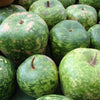 25 Small APPLE GOURD Cucurbita Pepo Ornamental Squash Seeds