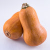 25 Organic HONEYNUT SQUASH aka Honey Butternut Squash Sweet Cucurbita Moschata Baby Buttercup Tan Skin Orange Flesh Seeds