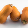 25 Organic HONEYNUT SQUASH aka Honey Butternut Squash Sweet Cucurbita Moschata Baby Buttercup Tan Skin Orange Flesh Seeds