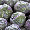 70 RED Ball BRUSSEL SPROUT Brussels Sprouts Brassica Oleracea Gemmifera Vegetable Seeds