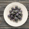70 RED Ball BRUSSEL SPROUT Brussels Sprouts Brassica Oleracea Gemmifera Vegetable Seeds