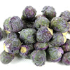 70 RED Ball BRUSSEL SPROUT Brussels Sprouts Brassica Oleracea Gemmifera Vegetable Seeds