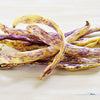 50 DRAGON TONGUE Wax BEAN Yellow & Purple Dragon's Tongue Phaseolus Vulgaris Legume Vegetable Seeds