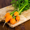 800 PARISIAN CARROT Parisienne Carrot Daucas Carota Sativus Orange Vegetable Seeds