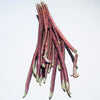 100 RED RIPPER COWPEA Cow Pea Southern Pea Vigna Unguiculata Legume Bean Vegetable Seeds