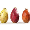 10 Orange PRICKLY PEAR CACTUS Nopal Indian Fig Opuntia Ficus-Indica Fruit Flower Seeds