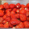 60 RUEGEN STRAWBERRY Everbearing Alpine Fragaria Vesca Red Berry Fruit White Flower Seeds