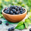 50 WHITEBARK Black RASPBERRY Western Blackcap Raspberry Rubus Leucodermis Native Fruit Berry Seeds