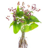 15 BEADRUBY Maianthemum Dilatatum aka False Lily of the Valley, Solomon's Seal, Snakeberry, May Lily, Native White Flower Red Berry Moist Shade Seeds