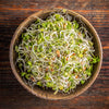 ORGANIC SPROUTING MIX - Peas, Mung & Adzuki Beans, Green, French, & Red Lentil Vegetable Sprout Seeds