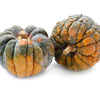 20 BLACK FUTSU SQUASH Multicolored Wrinkly Skin Gold Flesh Japanese Heirloom Pumpkin Ornamental Edible Cucurbita Moschata Vegetable Seeds