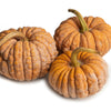 20 BLACK FUTSU SQUASH Multicolored Wrinkly Skin Gold Flesh Japanese Heirloom Pumpkin Ornamental Edible Cucurbita Moschata Vegetable Seeds
