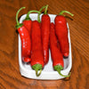 25 GIANT ACONCAGUA PEPPER Up to 12" Long Caspsicum Annuum Green Yellow Orange Red Vegetable Seeds