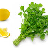 25 Organic DWARF LEMON CILANTRO Coriander Spice Coriandrum Sativum Fragrant Herb Seeds