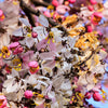 5 PINK SHOWER TREE Cassia Javanica aka Rainbow Shower & Apple Blossom Tree Two Tone Pink, White, Yellow Flower Seeds