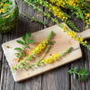 15 CHURCH STEEPLES Agrimonia Eupatoria aka Agrimony or Sticklewort Perennial Herb Yellow Flower Seeds