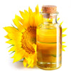 100 PEREDOVIK SUNFLOWER Helianthus Annuus aka Black Peredovik Good Oil / Oilseed Type Yellow Flower Seeds