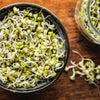 ORGANIC SPROUTING MIX - Peas, Mung & Adzuki Beans, Green, French, & Red Lentil Vegetable Sprout Seeds
