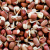 ORGANIC SPROUTING MIX - Peas, Mung & Adzuki Beans, Green, French, & Red Lentil Vegetable Sprout Seeds