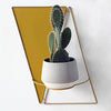 Twins Wall Planter