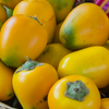 Cocona (Solanum sessiliflorum)