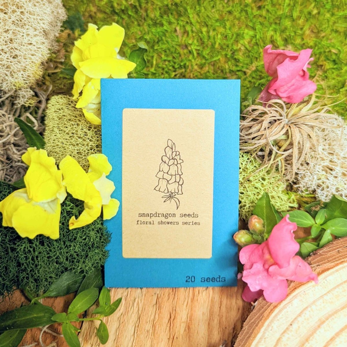 "Indoor Blooms" Seed Collection – photo 7